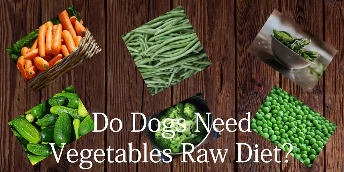 do dogs need vegetable raw diet