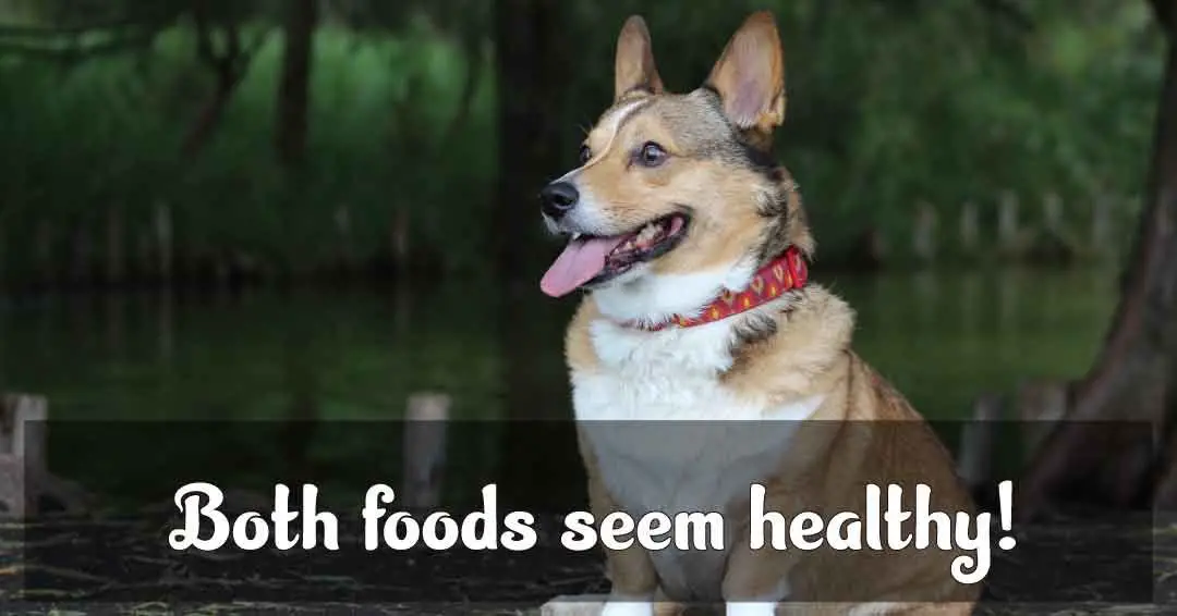 both foods seem healthy