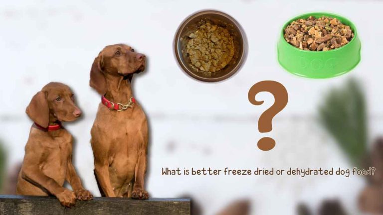 What is better freeze-dried or dehydrated dog food? Know the difference