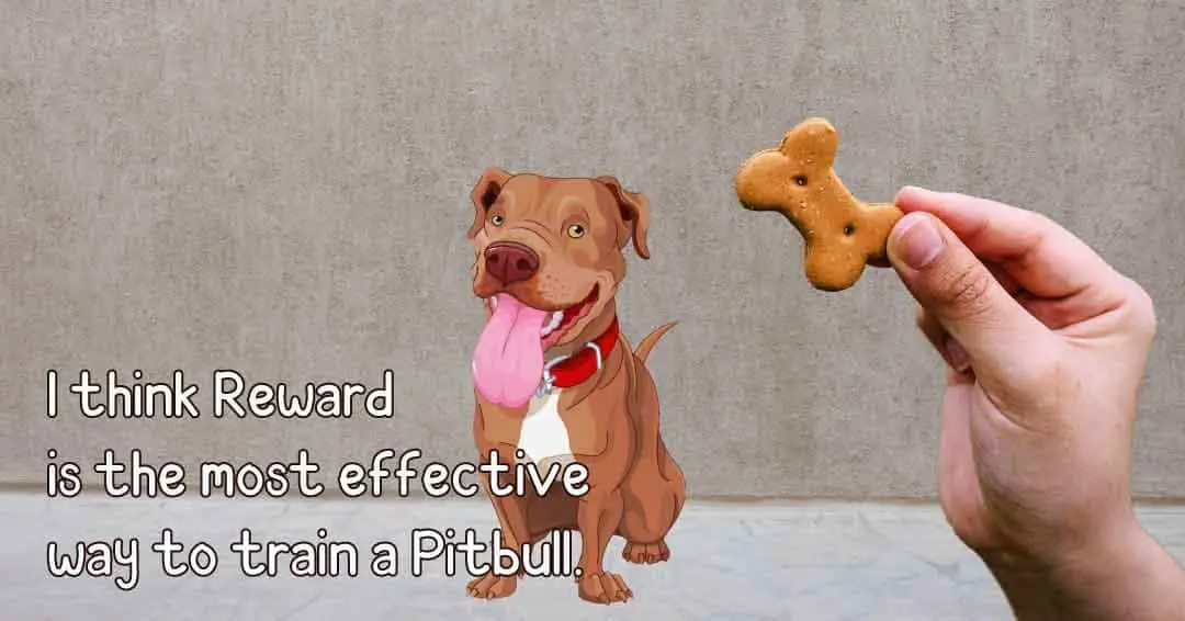  most effective way to train a pitbull