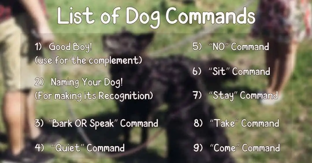 List of Dog Commands and hand signals