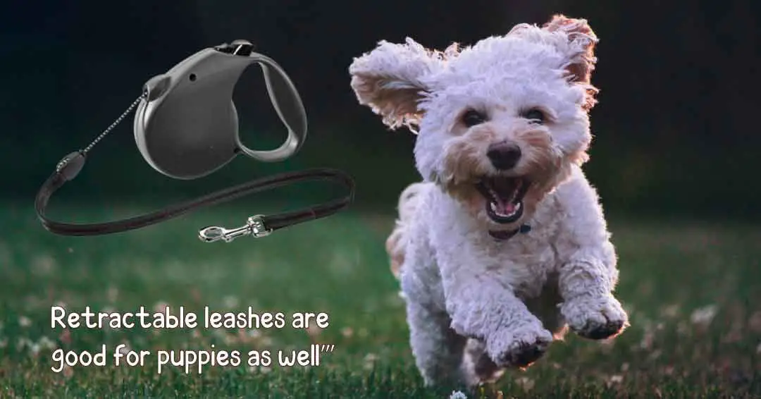 retractable lashes are good for puppies as well