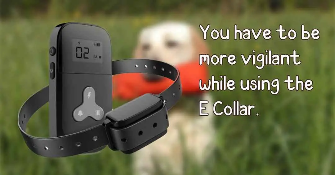 you have to be more vigilant while using E collar