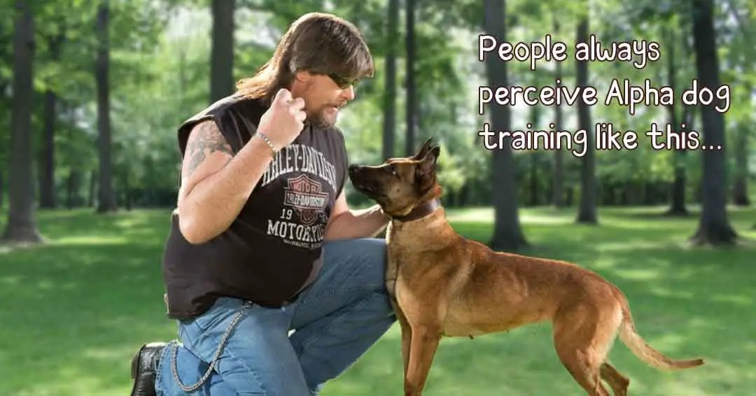 alpha dog training method