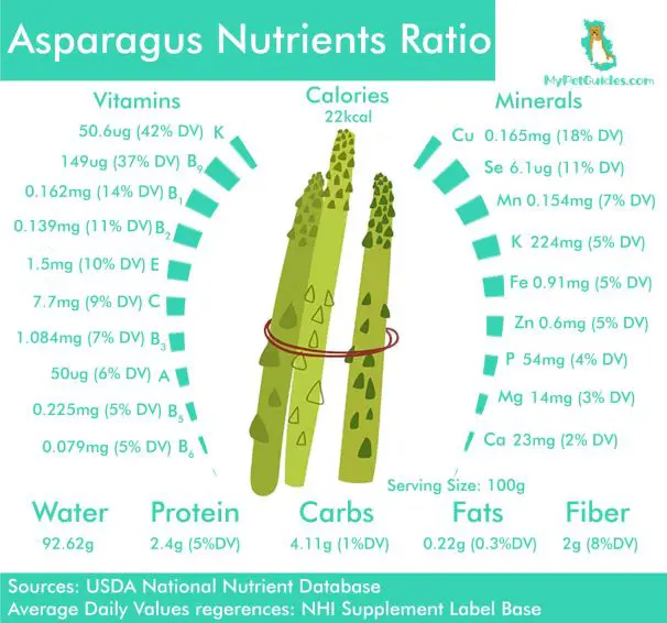 Nutrients in asparagus