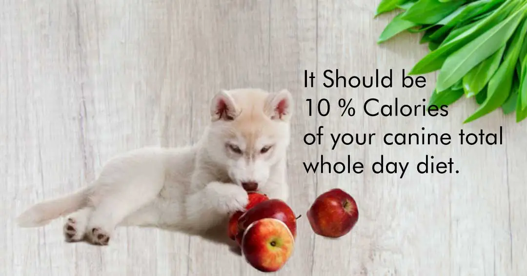 apple quantity in canine diet