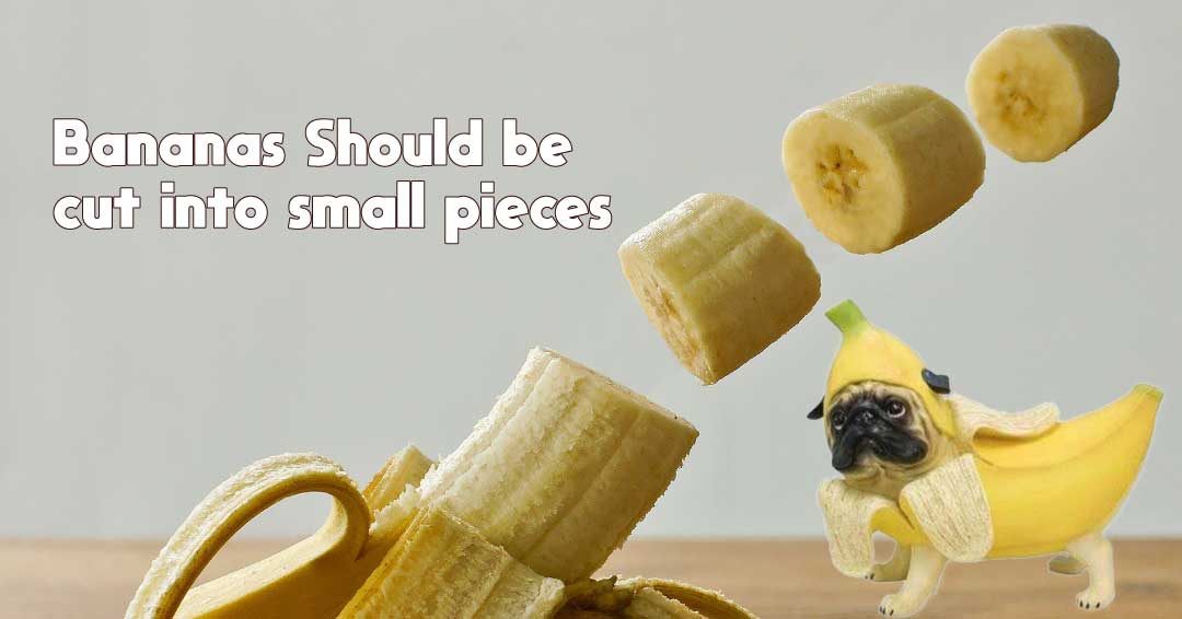 bananas should be cut into small pieces