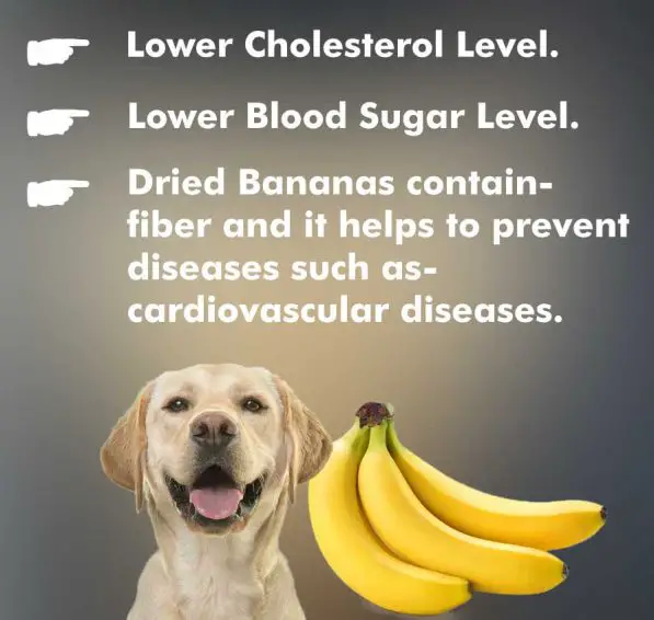 benefits of dried bananas