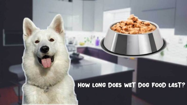 How long does wet dog food last?