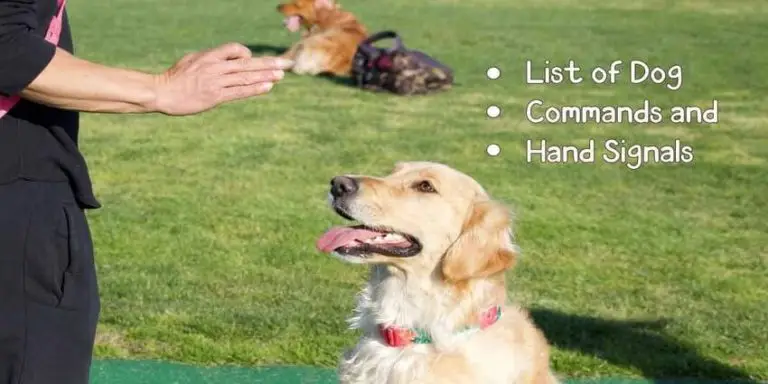 List of Dog Commands and Hand Signals with Chart (Updated)