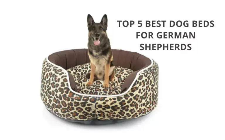 Top 5 Best Dog Beds For German Shepherds | 2021 Reviews & Buying Guide