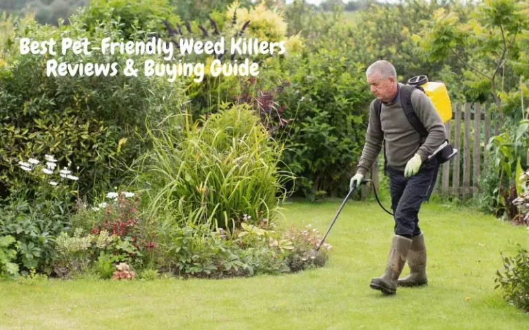 The 5 Best Pet-Friendly Weed Killers | Reviews and Buying Guide