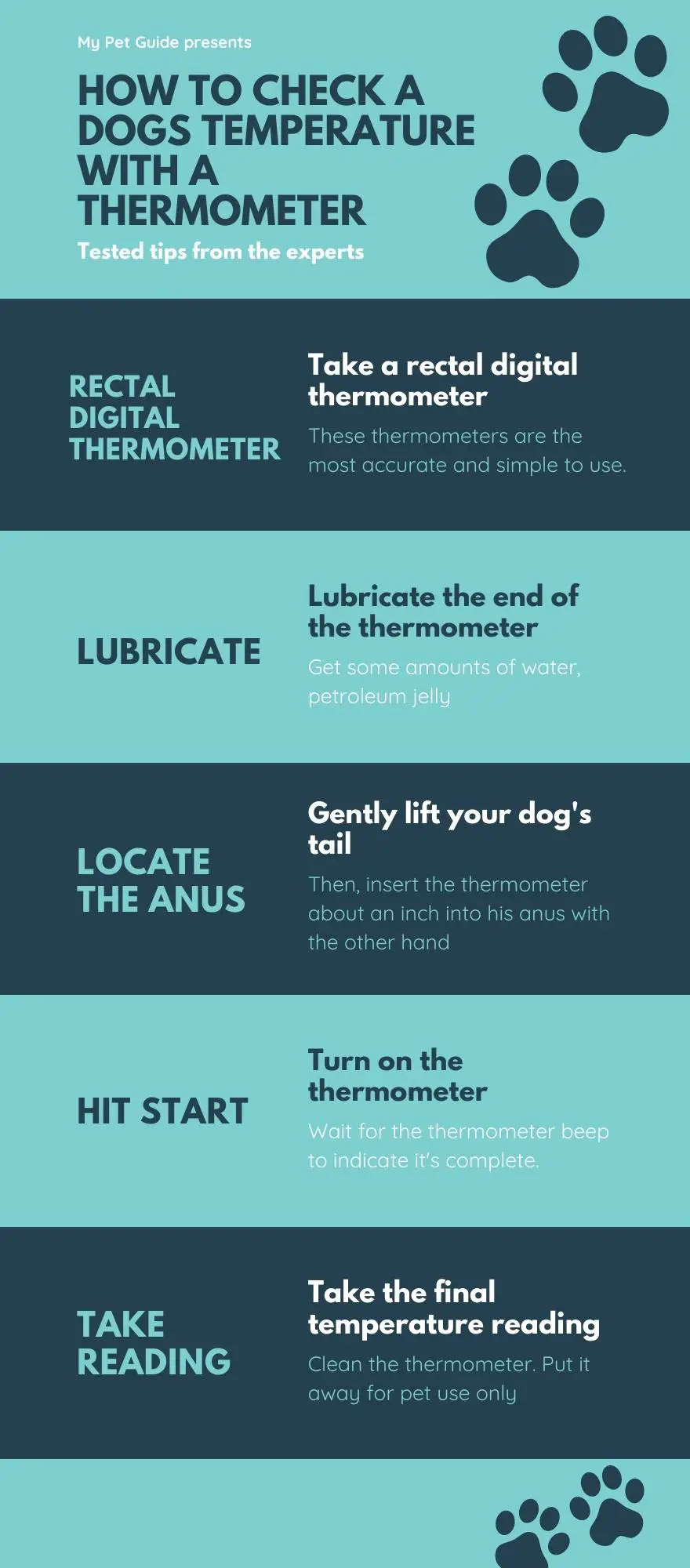 How To Check a Dogs Temperature with a Thermometer